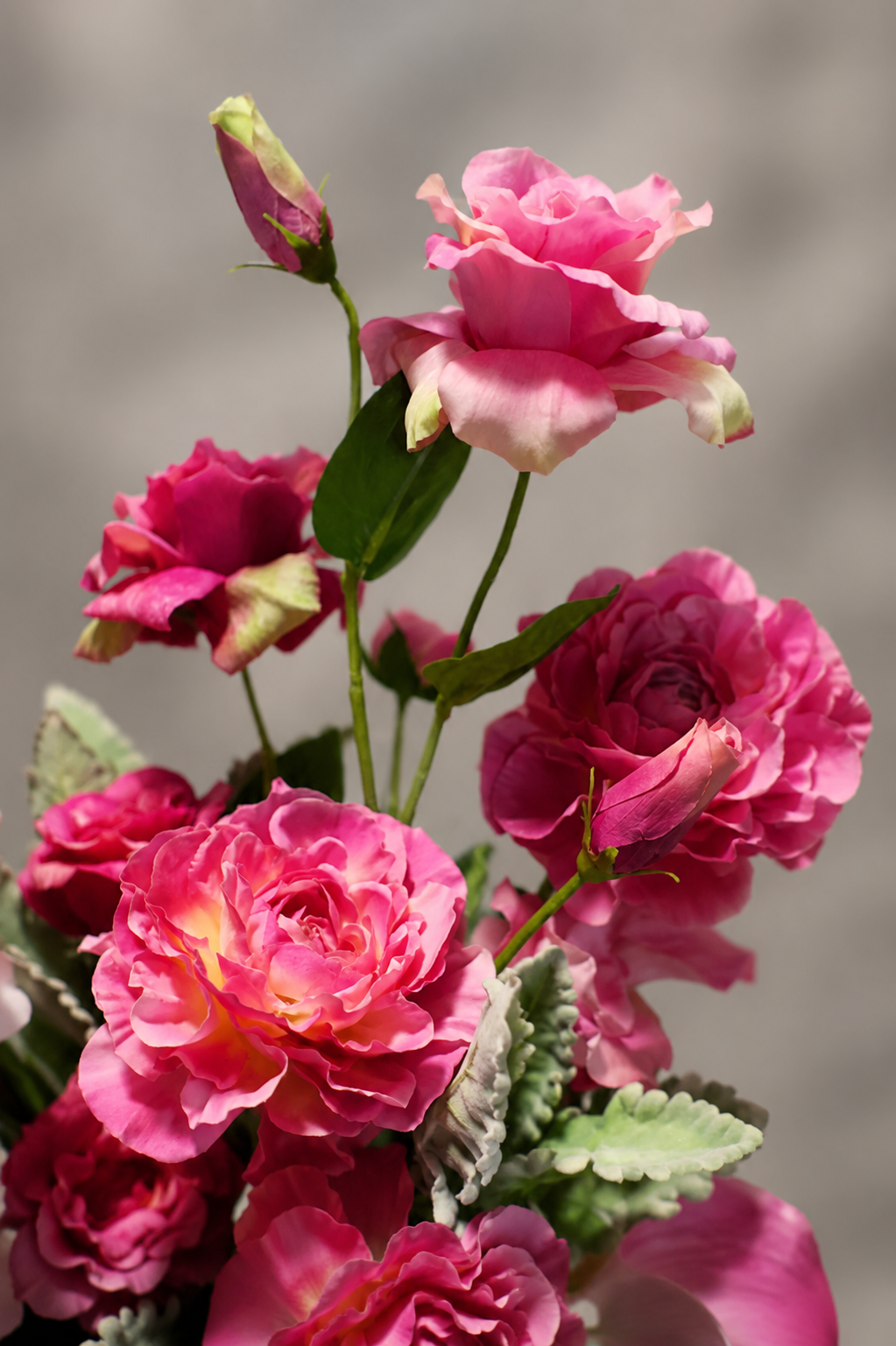 Blushing Rose